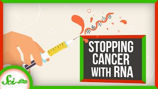 How to Stop Cancer Using RNA