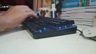 Outemu Red Switch Typing Test (Tecware Phantom TKL)