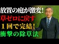 【衝撃の事実】草が一切生えなくなる！たった"1回の処理"で1年中きれいな庭に戻る裏ワザ | グリーン農 | 芝生 | グランドカバー | 草刈り | 雑草対策
