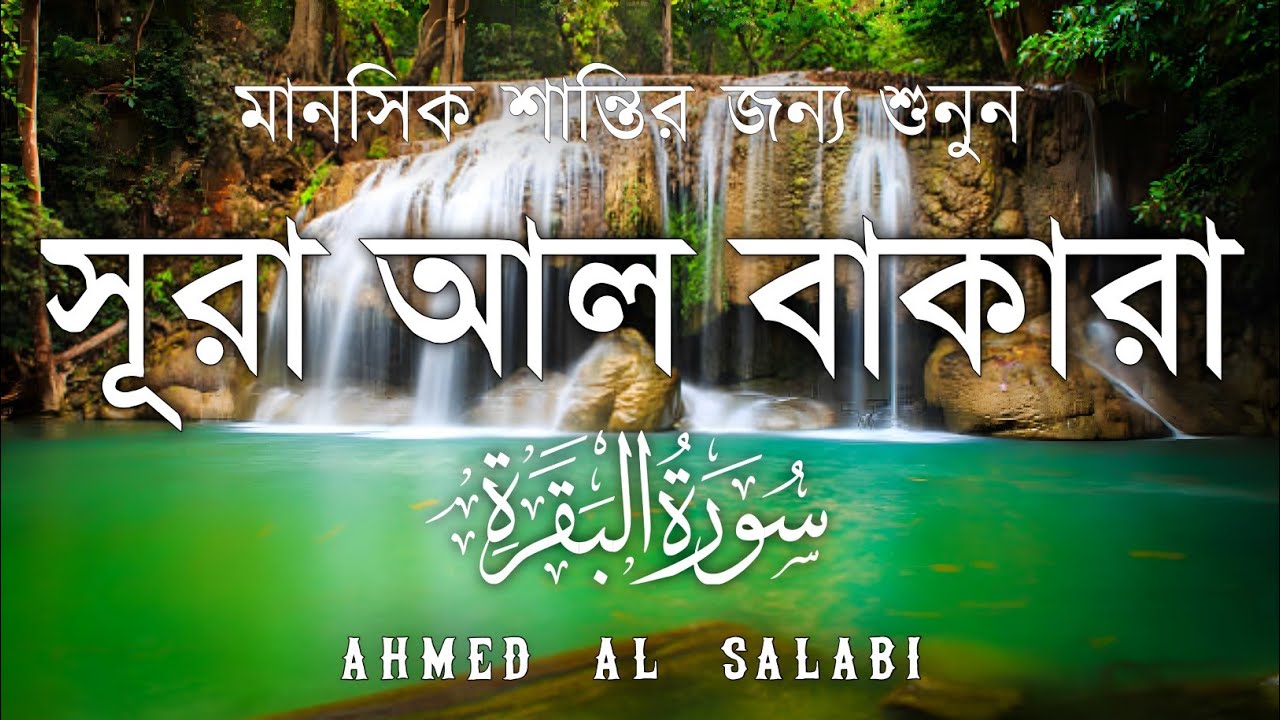 ঘরের উন্নতির জন্য সূরা বাকারা প্রতিদিন শুনুন I Surah Baqarah Full Quran Recitation | Ahmed Al Salabi