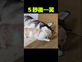 5秒後の結末が見えるシーン 5秒後の結末が見えるシーン