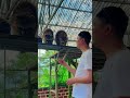Pedro pedro