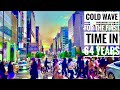 [4K SEOUL]Walk Seoul Korea|64년만의 한파|연남동| Too hasty autumn cold wave| The coldest October in 64 years