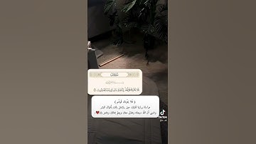 سورة / يس . القارئ / أحمد النفيس.