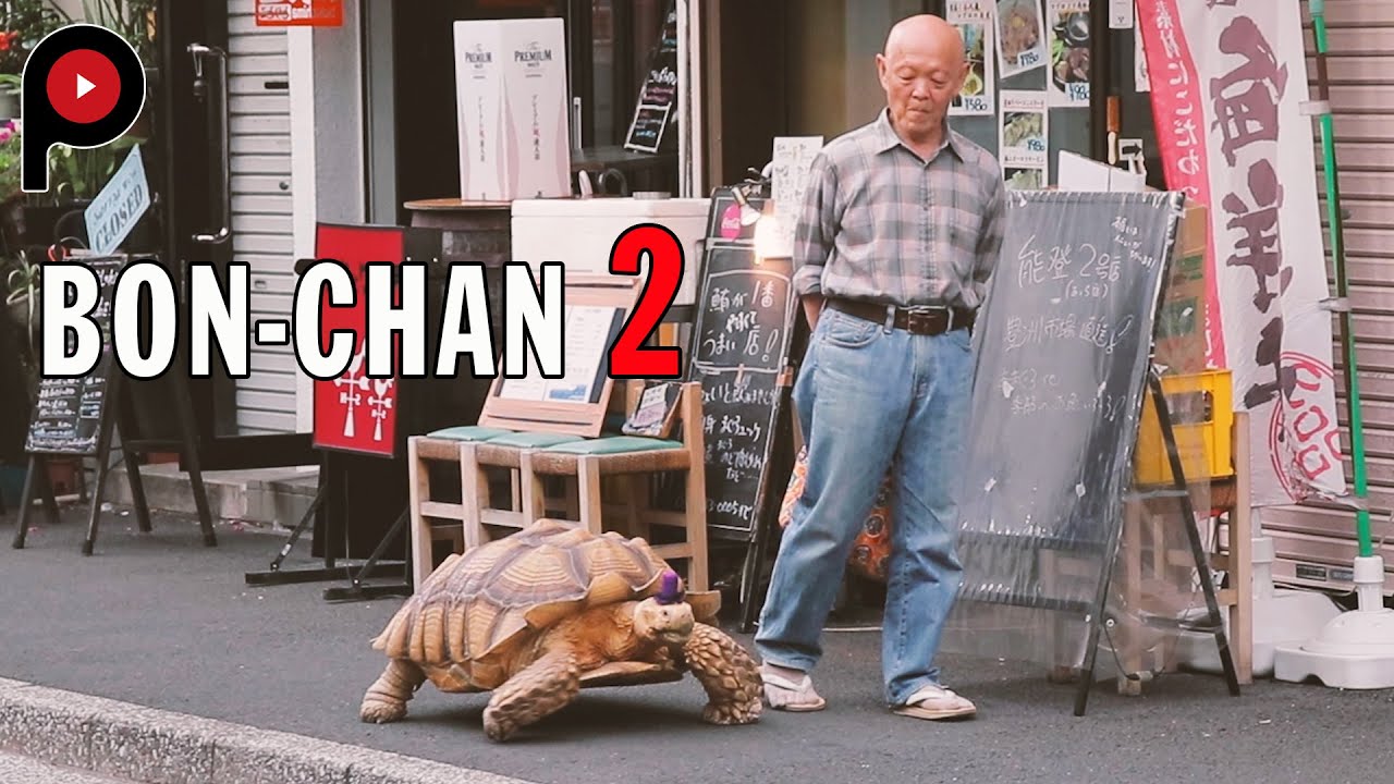 【Bon-Chan 2】Next Chapter | An Old Man And His Giant Tortoise Take A Walk