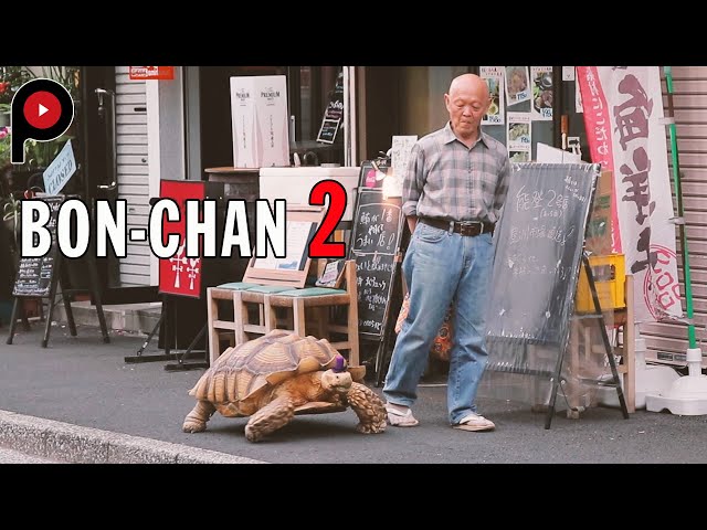 【Bon-chan 2】Next chapter | An old man and his giant tortoise take a walk class=