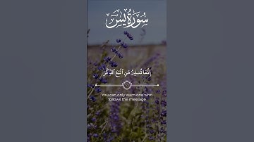 #سورة_يس (١١) - #طلحة_علوي #qurantv | #القرآن_الكريم #تلاوه #تلاوة_مميزة