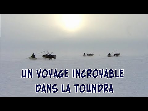 Vidéo: Situation Géographique De La Toundra