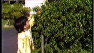 Easter Egg Hunt at Grandpa & Grandma's 1987