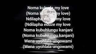 amaphiko 2.0 Yanga chief lyrics