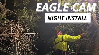 Career Overview Secrets of the Dulles Greenway Eagle Cam