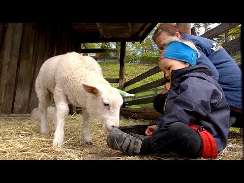 Ødegården barnehage - Sætre i Hurum - Dyra og gården