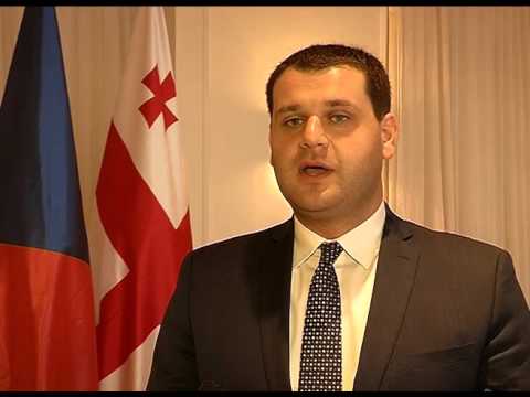 ჩეხეთსა და საქართველოს მთავრობებს შორის ხელშეკრულებები გაფორმდა