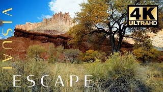 Soothing Desert Sounds At Capitol Reef In 4K
