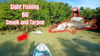 INSANE CLEAR WATER EAT  Paddleboard Sight Fishing for Snook and Tarpon on Fly