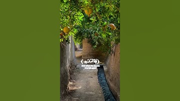 الله الذي يرسل الرياح – سورة الروم – مشاري البغلي
