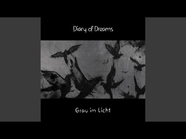 Diary of Dreams - Schwarz