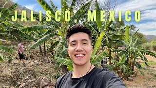 Family Roots Jalisco, Mexico Vlog