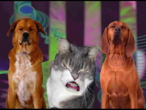 Stealers Wheel Stuck In The Middle With You Stealers Wheel Stuck In The Middle With You