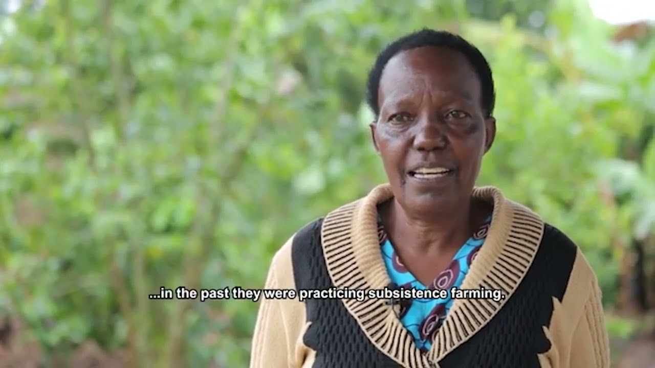 Okulima Emwanyi e Masaka Kalungu