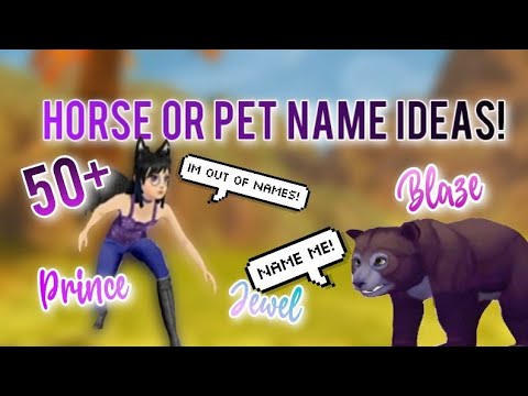 Video: Cool Horse Name Ideas