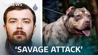 Woman Will Never Get Over Death Of Grandad After Xl Bully Attack