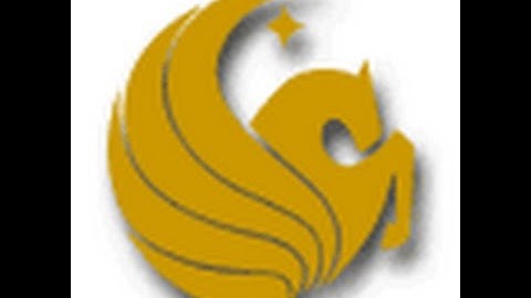 Statistical Methods I (STA 2023) Review