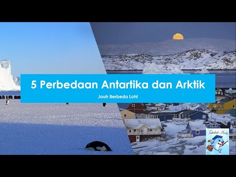 5 Perbedaan Antartika dan Arktik, Beda Jauh?