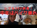 【Rebel500納車】大人が趣味始めるならバイクが最適な理由【バイク女子】