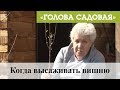 Голова садовая - Когда высаживать вишню