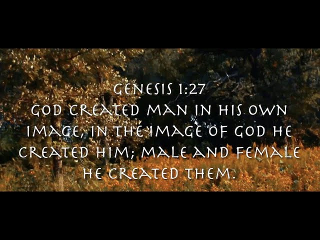WE ARE THE CHILDREN OF GOD
