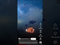 #dj