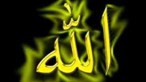 الشيخ حمدى ابو الدهب سورة الفجر   YouTube 2