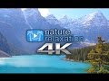 Peaceful Relaxation 4K | Nature Relaxation™ Sizzler (Free Download)