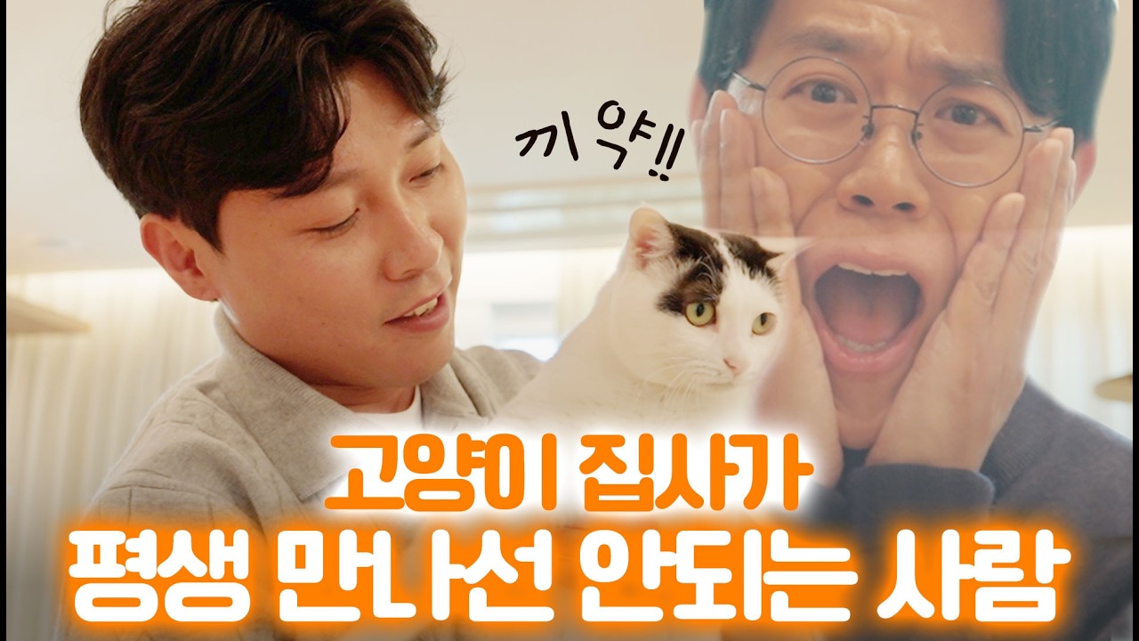 고양이 실종에 대한 솔직한 생각ㅣ고양식탁 원탐정 편