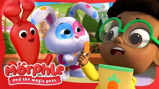 Time to do magic pet sitting | Morphle and the Magic Pets | Available on Disney+ and Disney Jr by Moonbug Kids - Cartoons and Kids Songs 20,927 views 13 days ago 2 minutes, 6 seconds