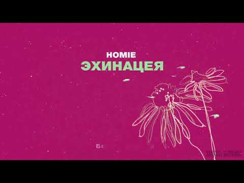 HOMIE - Эхинацея (премьера трека, 2019)