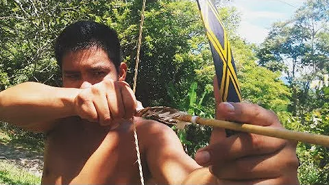 Como é o nome da Flecha do Índio?
