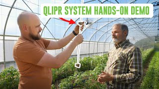 Why This Trellising System Beats All Others At Bountiful Blessings Farm