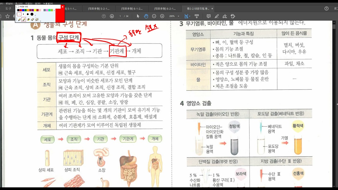 중2과학(내공의힘2-2)소화(8~15,88~89)