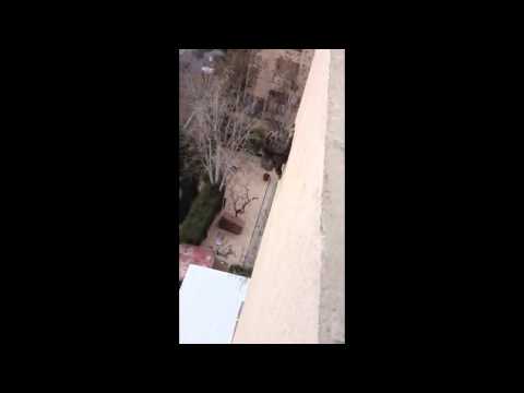 Кот упал с 9 этажа!