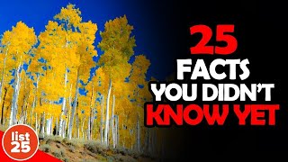 25 Things You Didn't Know That it's Real