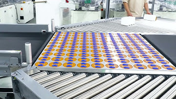 Parcel Steerable Wheel Sorting Machine | Wheel Sorter  @GosunmMachinery