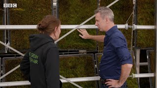 How walls of moss could help reduce urban air pollution - BBC News