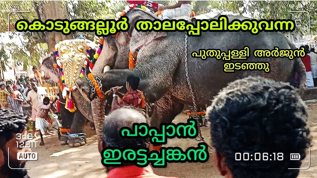 പുതുപ്പള്ളി അർജുൻ ചെറുതായി പേടിപ്പിച്ചു. പൂരം  മുടക്കാതെ അവൻ  പിൻമറി.