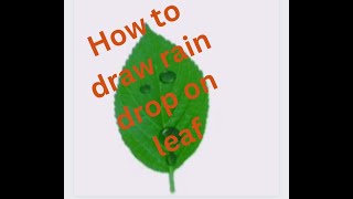 How to make water drop on leaf in coreldraw| Corel draw mn leaf py water drop kesy bnaein How to make water drop on leaf in coreldraw| Corel draw mn leaf py water drop kesy bnaein