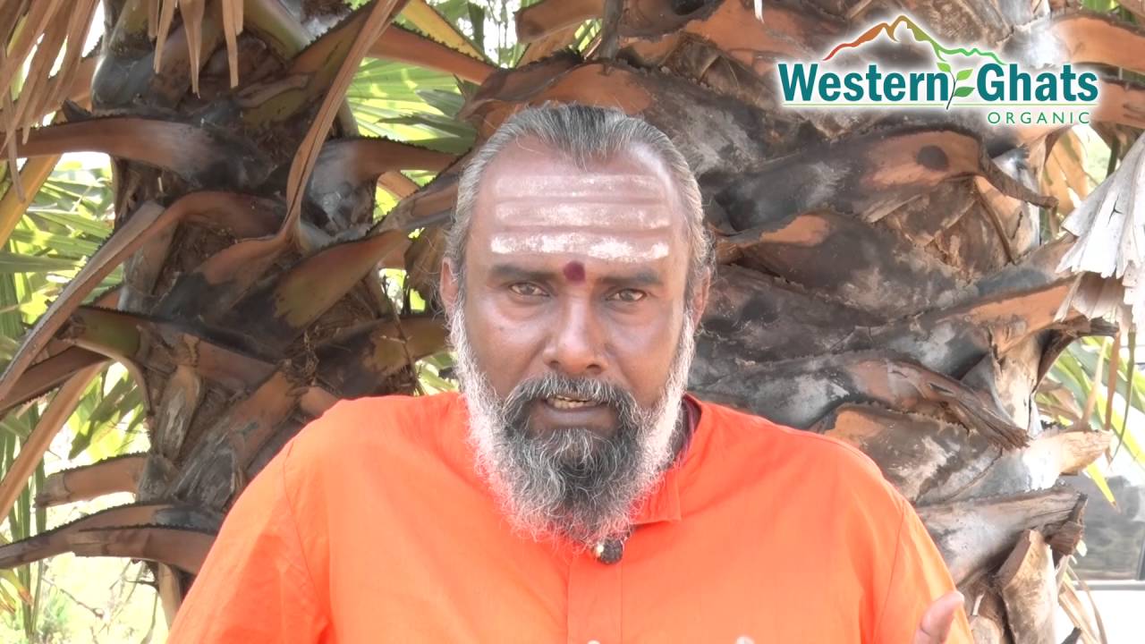 Panankarkandu Paarambariya Maruthuvam Dr Rajamanickam Youtube