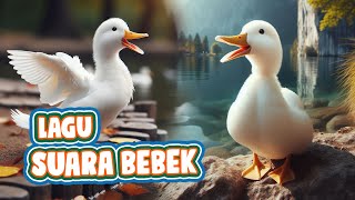 LAGU SUARA BEBEK