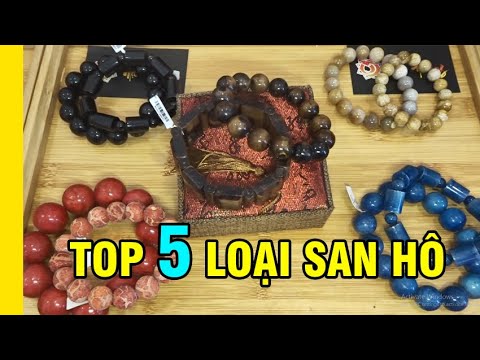 Video: Loại hóa thạch nào là san hô?