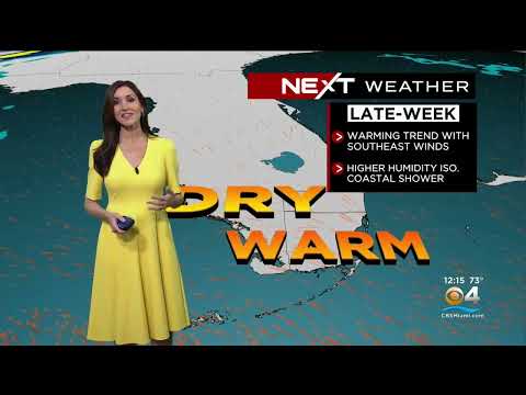 NEXT Weather: Miami